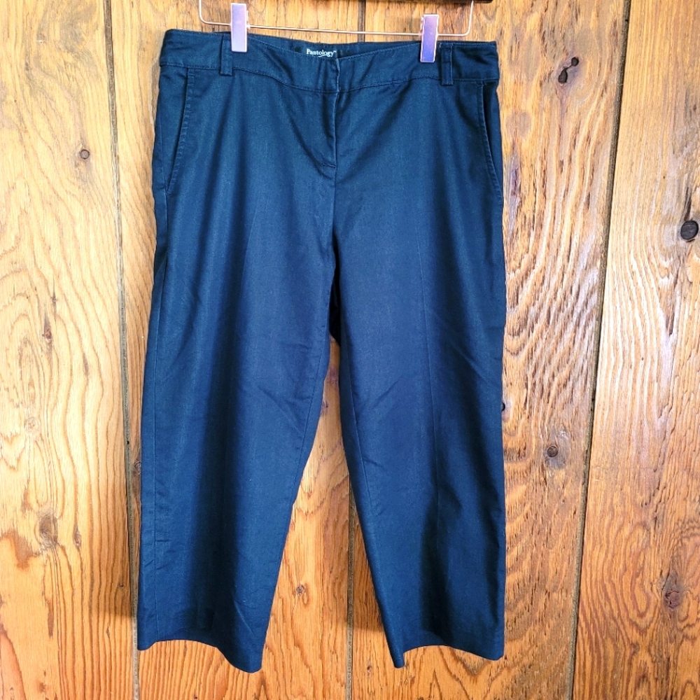 Pantology cropped dress pants in dark gray. Size 6P.
